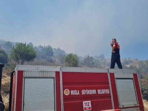 Bodrum’da Makilik Alanda Yangın Çıktı