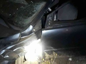 Bingöl’de Otomobil İneğe Çarptı: 7 Yaralı