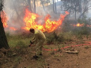 Edirne’de Orman Yangını Başladı, Müdahale Ediliyor