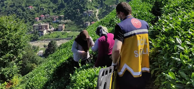 Rize’de Yamaçtaki Çay Bahçesinden Yuvarlanan Şahıs Sedye İle 400 Metre Taşınarak Hastaneye Sevk Edildi