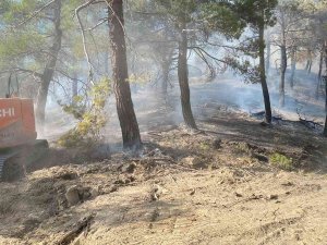 Gediz’de Orman Yangını; 4 Dönümlük Ormanlık Alan Yandı