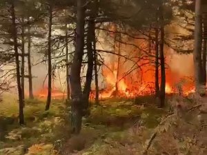 Tokat’ta Korkutan Orman Yangını
