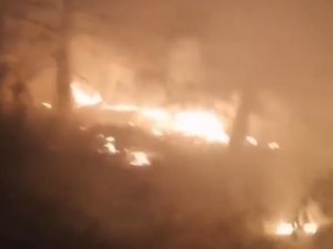 Kastamonu’da Orman Yangını: Ekiplerin Hızlı Müdahalesi İle Söndürüldü