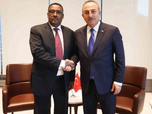 Dışişleri Bakanı Çavuşoğlu, Etiyopya Başbakan Yardımcısı Ve Dışişleri Bakanı Demeke Mekonnen İle Görüştü
