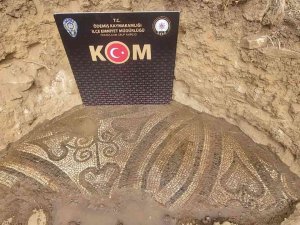 İ̇zmir’de Kaçak Kazı Yapan Kişinin Tarlasında 2 Bin Yıllık Mozaik Bulundu