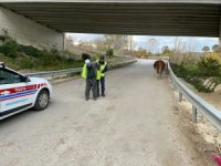 Sinop’ta “Reflektif Yelek Giy Görünür Ol Projesi"