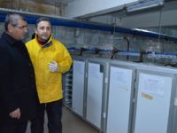Her Derenin Balığı Ayrı Dolaplarda