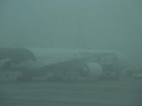 Trabzon'da hava ulaşımına sis engeli
