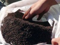111 Ton Çay ve 45 Ton Şeker Satışa Sunulacak