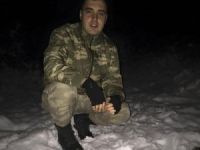 Şehit Ateşi Giresun’a Düştü
