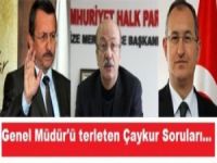 Bütün Sütlüoğulları Çaykur'da mı?