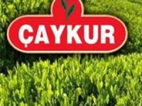 Çaykur Çay Alım Yasağında Geri Adım Attı
