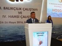 Balığın Yüzde 70’i Karadeniz’de Avlanıyor