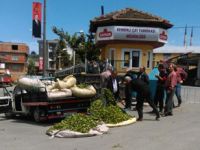 Çay Üreticisinden Çaykur Fabrikası Önünde Protesto