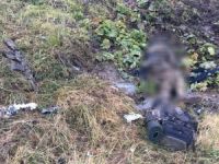 Ordu Valisi Balkanlıoğlu: "Burası Karadeniz, terör burada barınamaz"