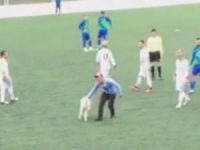 Sahaya Köpek Girince Maç Durdu