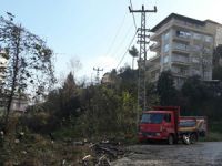 Kestiği Ağacı Elektrik Kablolarına Düşüren Kişi 5 Mahalleyi Elektriksiz Bıraktı