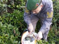 Rize’de Çay Bahçesinde 500 Gram Esrar Maddesi Ele Geçirildi