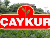 ÇAYKUR'un, Katarlılara Satıldığı İddiası