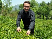 Türkiye İhraç Ettiği Çayın 3 Katını İthal Etti