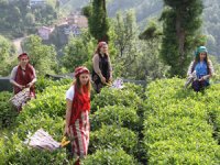 Hazine Değişikliğe Gitmedi, Destekleme Paraları Salı Günü Ödenecek