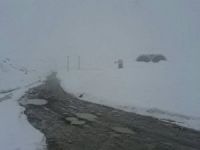 Rize-Erzurum Karayolu Ovit Geçidi Kar Nedeniyle Yeniden Ulaşıma Kapandı