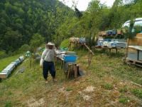 Arıcılar Mevsimden Umutlu