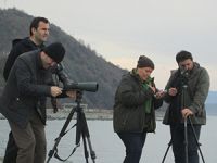 Doğu Karadeniz'de En Fazla Su Kuşu Türü Rize'de Tespit Edildi