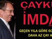 Sütlüoğlu'nun Kontenjan ve Randevusu ile Çaykur Geçen Yıldan 60 Bin Ton Az Yaş Çay Aldı