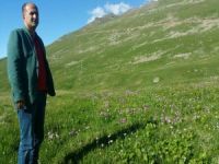 Anzer Balı Üretimine Hava Darbesi