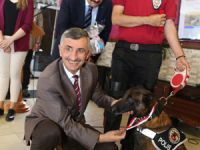 Rize'de Uyuşturucuyla Mücadelede Emeği Geçenlere Ödül
