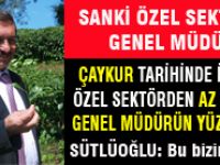Çaykur Yaş Çay Alımında Tarihinde İlk Defa Özel Sektörün Gerisinde Kaldı, Genel Müdür Sütlüoğlu Sevindi