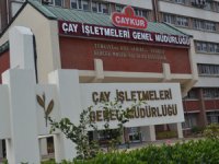 ÇAYKUR Mevsimlik İşçileri İşsizlik Maaşı İçin Rize'de Toplanacak