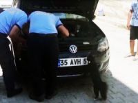 Anne Kedi, Yavrusu Kurtarılırken Başından Ayrılmadı