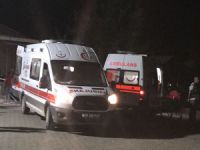 Artvin'de kamyonet şarampole devrildi: 3 ölü, 7 yaralı
