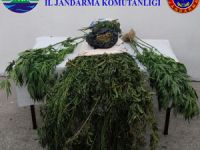 Rize'de Jandarmadan Uyuşturucu Operasyonu
