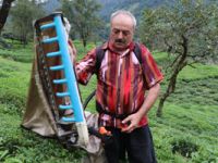 Geliştirdiği Çay Toplama Makinesiyle Günde 1 Ton Çay Topluyor
