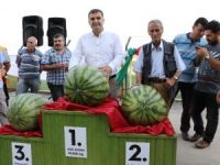 Bu Da En Ağır Karpuz Yarışması