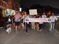 Tekme Atılan Köpek İçin Yürüdüler