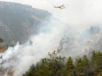 Yangına Havadan Ve Karadan Müdahale Ediliyor