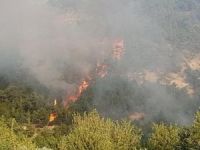 Karabük’te Orman Yangını