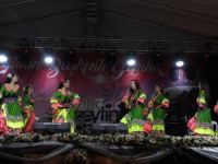Gemlik Zeytini Festivalinden Renkli Görüntüler