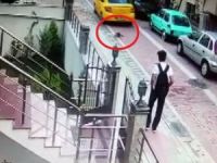 Köpeği Ezip Ardına Bakmadan Kaçtı