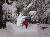 Meteoroloji'den Rize'ye Kuvvetli Yağmur ve Yoğun Kar Uyarısı