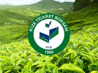 "Rize Çay Araştırma Uygulama Projesi" Çalışmaları