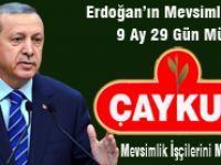 Cumhurbaşkanı Erdoğan’ın Mevsimlik İşçi Müjdesi, Çaykur İşçisini Memnun Etmedi