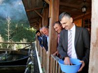 Vali Bektaş: Çayeli Raşot Vadisi Turizm Merkezi Olmaya Aday