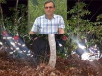 Rize'de Kestiği Ağaç Üzerine Devrilen Şahıs Hayatını Kaybetti