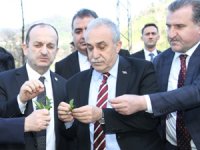 Bakan Fakıbaba Yaş Çay Fiyatını Açıklamak İçin Rize'ye Geliyor