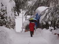 Rize'ye Kar Yağışı Geliyor
